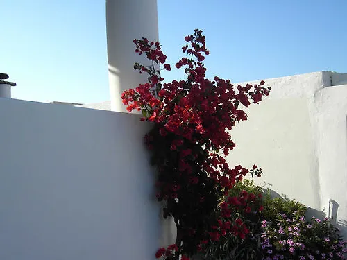 Gasthof Pensione La Nassa Stromboli Italien