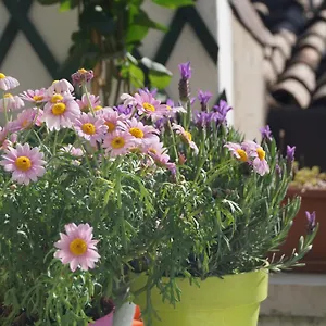 https://in-the-heart-of-verona.hotelinveneto.com